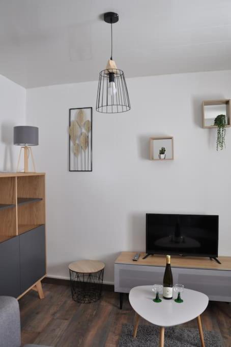 Le Studio Du Tanneur Selestadien ซิลิสตาต์ ภายนอก รูปภาพ