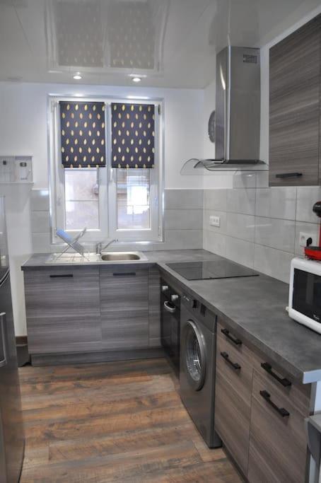 Le Studio Du Tanneur Selestadien ซิลิสตาต์ ภายนอก รูปภาพ